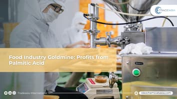 Banner Article